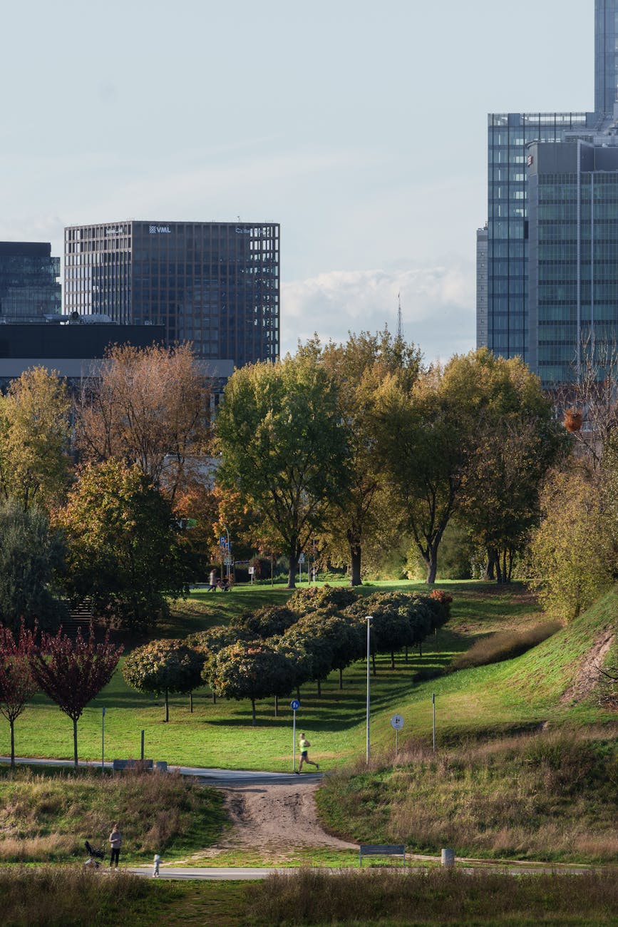 Open letter #5 to…&nbsp;seizures